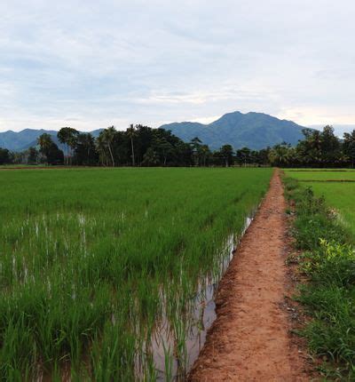 Discover how to get to Pagadian from anywhere. .